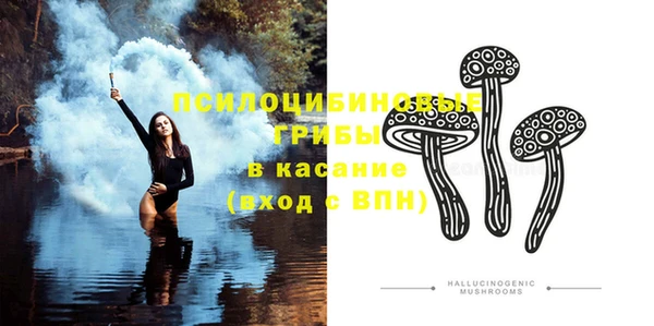 молекула духа Алексин