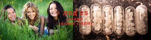соль ск Алексеевка
